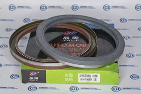 Сальник ступици задней F3000 145х175х13/14 06.56289.0331/06.56289.0371