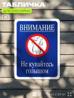 Табличка для бассейна "Внимание, не купайтесь голышом", на пляж, для общественной и частной зоны отдыха, информационная, 40х30 см, Silver Plane x Айдентика Технолоджи