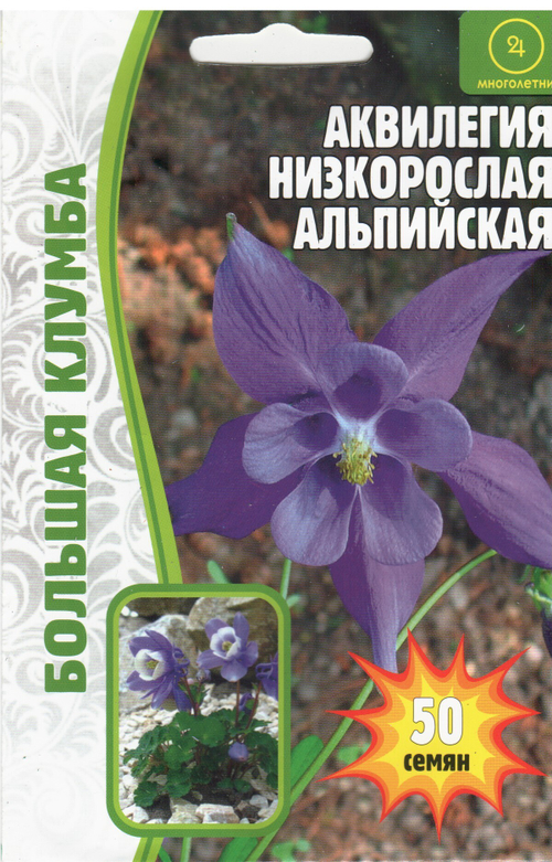 Аквилегия низкорослая альпийская