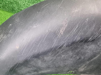 Юбка переднего бампера JAECOO J7 (2023-н.в.)