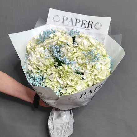 Букет из 5 гортензий с цветной гипсофилой