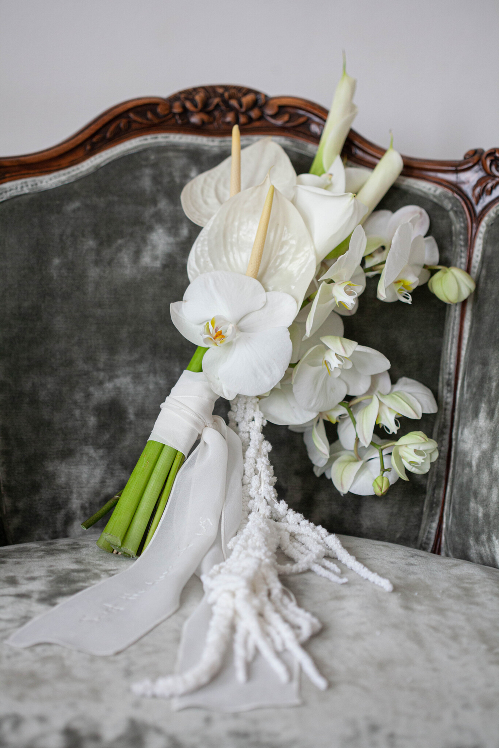 White Delight