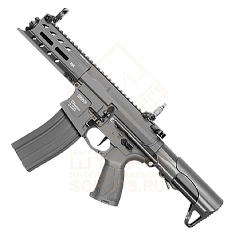 Модель автомата G&G ARP 556, Gray