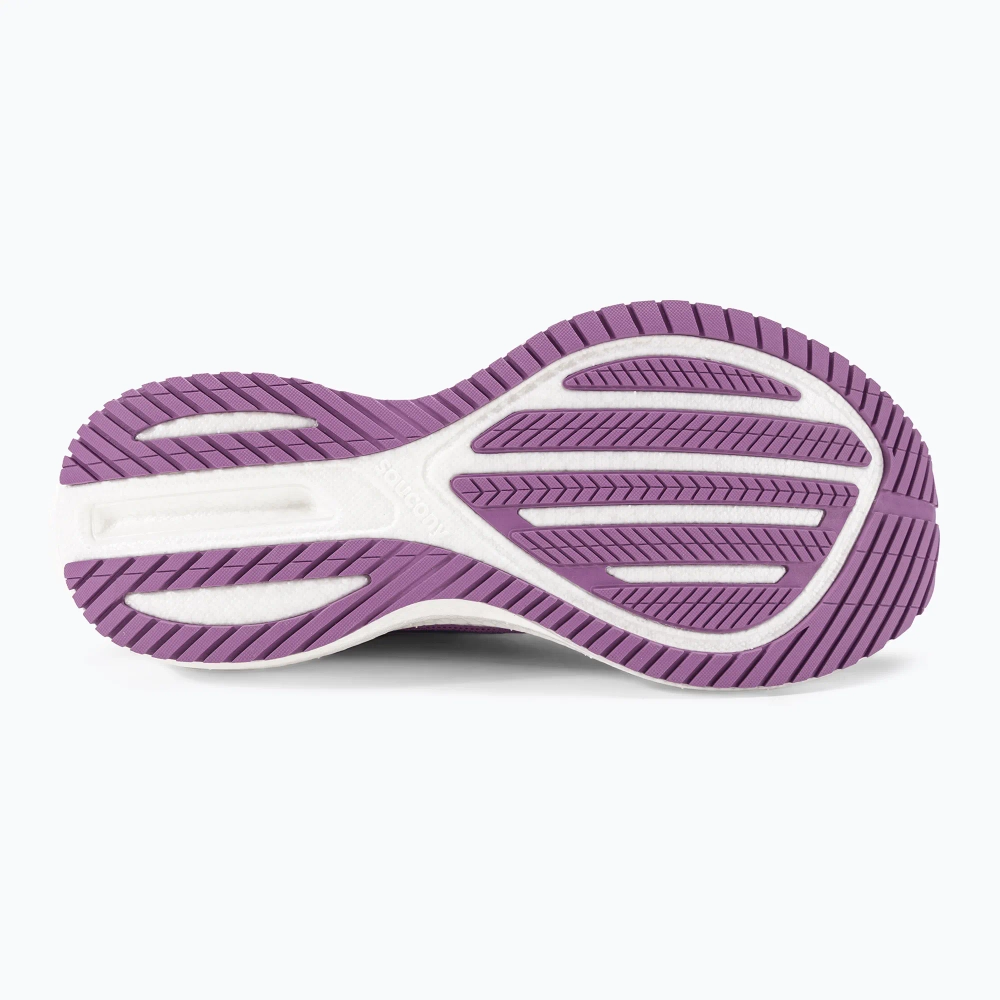 Женские Кроссовки для бега Saucony Triumph 21 grape/indigo