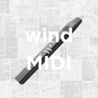 Аэрофон в наличии