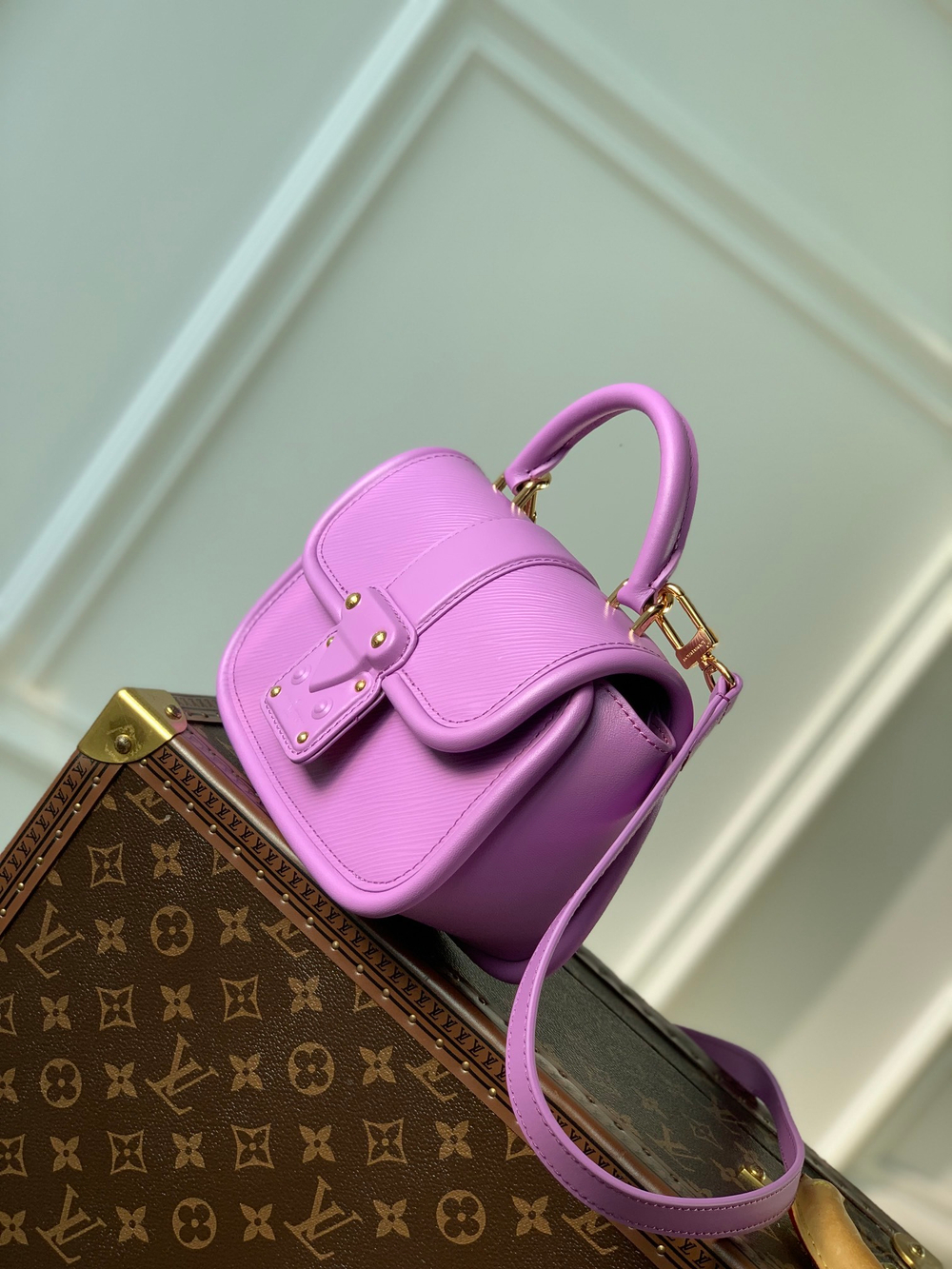 Louis Vuitton Hide & Seek Bag