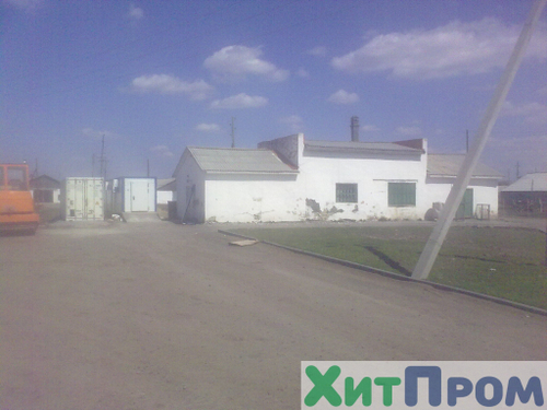 Линия убоя Свиней до 60 голов/смена. Тюмень