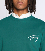 Худи Tommy Jeans - зеленый(DM0DM15206)