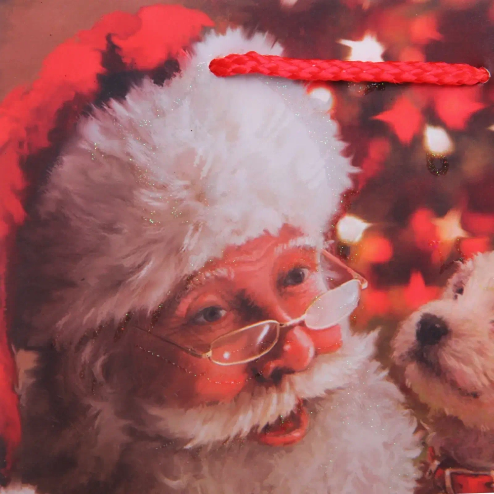 Пакет подарочный «Зимняя история» 18*23*8 см, микс