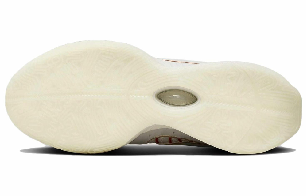 Кроссовки Nike Lebron 21 Ep "Akoya" 21 Lbj21