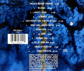 Pantera / Far Beyond Driven (CD)