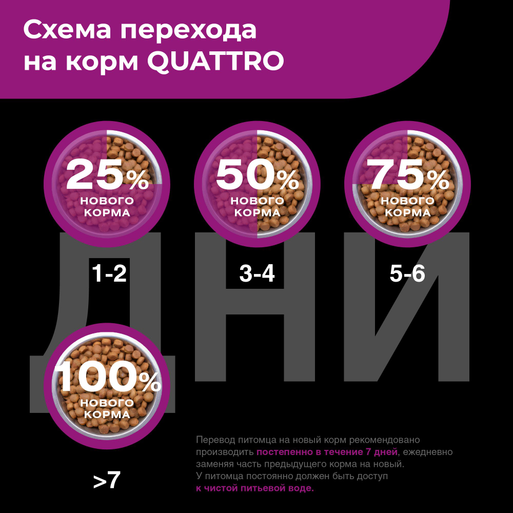 Корм сухой для взрослых собак породы Шипперке, с говядиной, 2,5 кг, QUATTRO