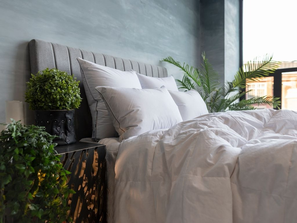 Подушка пуховая 50x68 German Grass Gray Familie Down мягкая