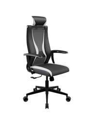 SynchroSit 10 B2-170U - T+UMF(SY271)+Extra /Kb38/Wh09/U0mL-b/H13mL-Pf-1DF(M20.B11.G19.W34)