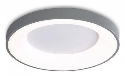 Накладной светильник Ambrella Light FZ FZ1402