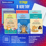 Тетради предметные комплект 12 ПРЕДМЕТОВ 48 л. TWIN-лак BRAUBERG "КОТ-ЭНТУЗИАСТ" (2 штуки в упаковке)