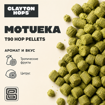 MOTUEKA