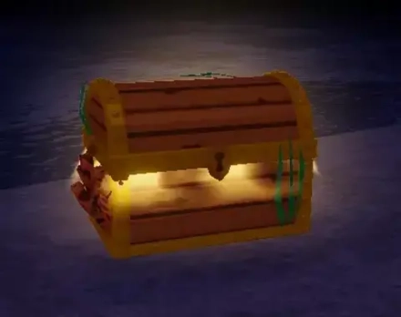 Chest