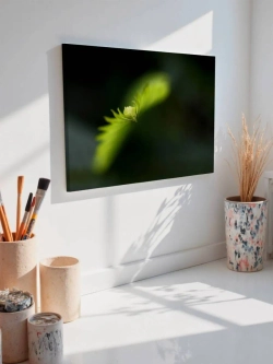 Картина на стену 40 X 50 Зелень