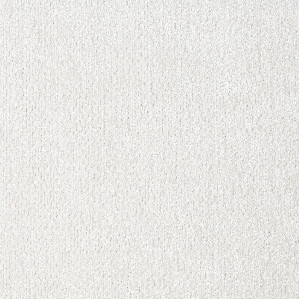 Шенилл Бостон (Boston) 01