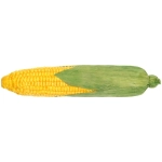 Муляж «Кукуруза» 28*4см