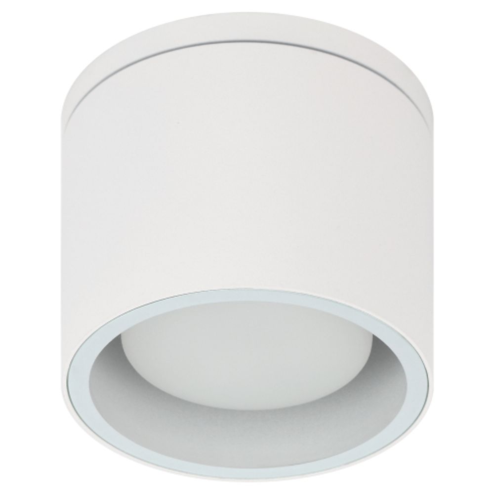 Светильник настенно-потолочный спот ЭРА WL40 WH GX53, белый, IP54