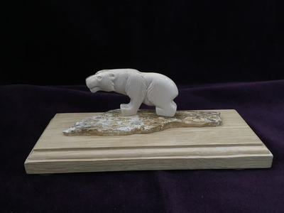 Белый медведь