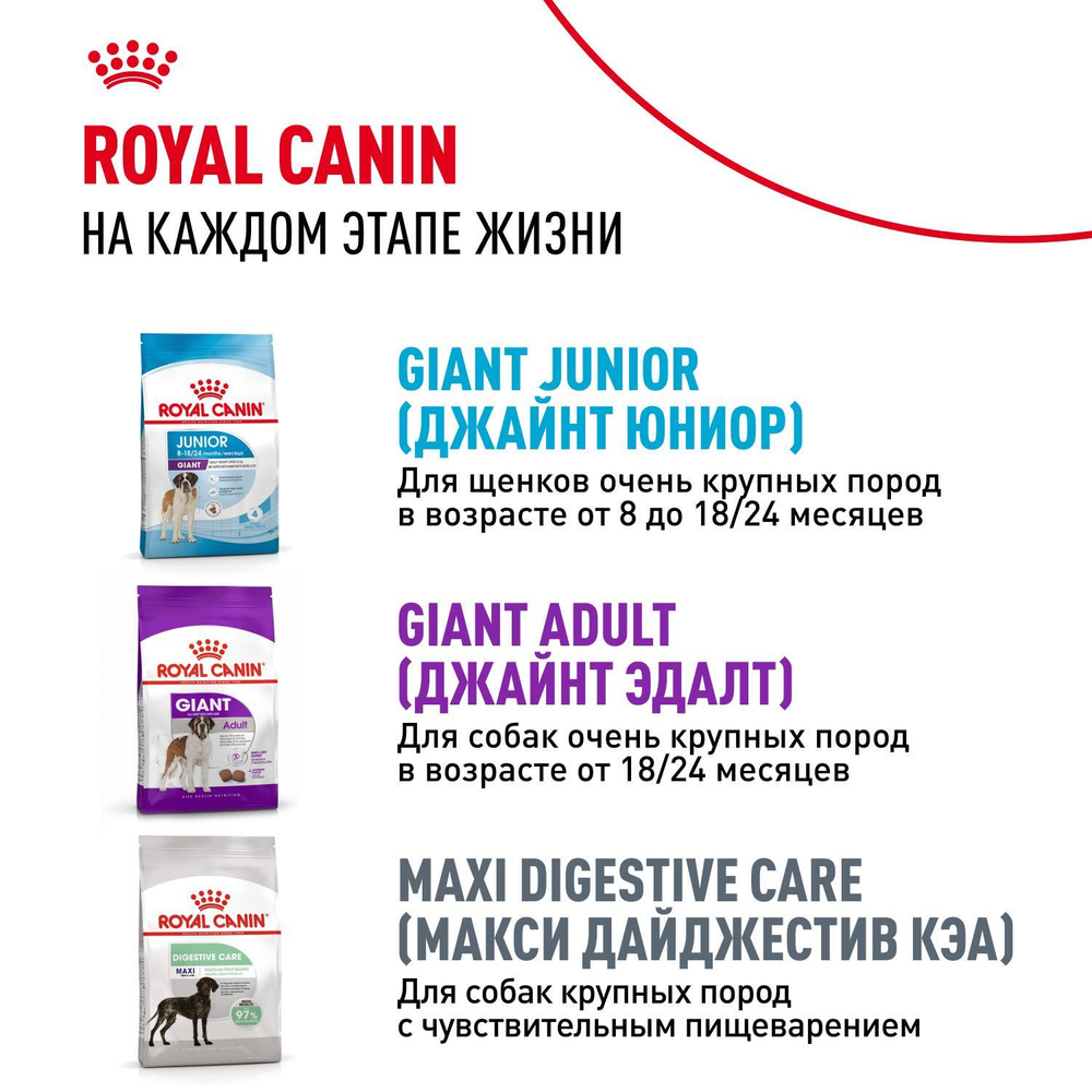 Royal Canin Giant Puppy Корм сухой для щенков очень крупных размеров 15 кг