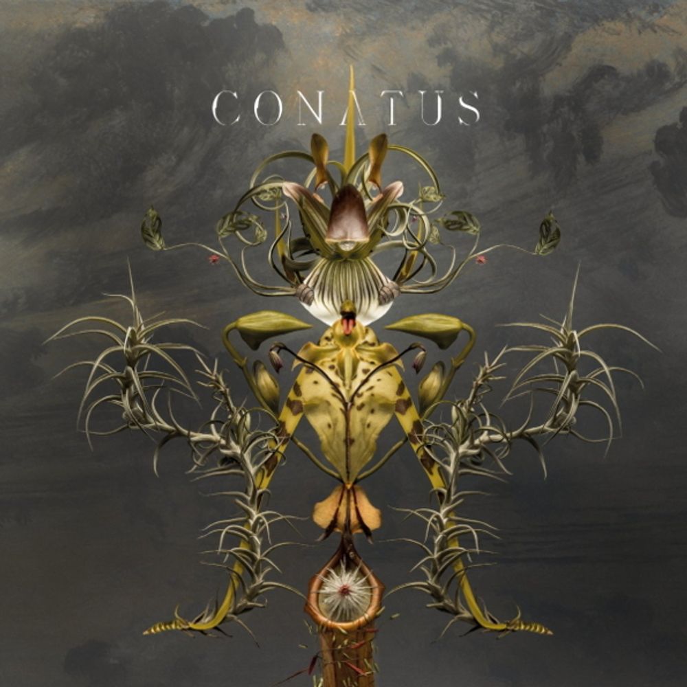 Joep Beving / Conatus (CD)