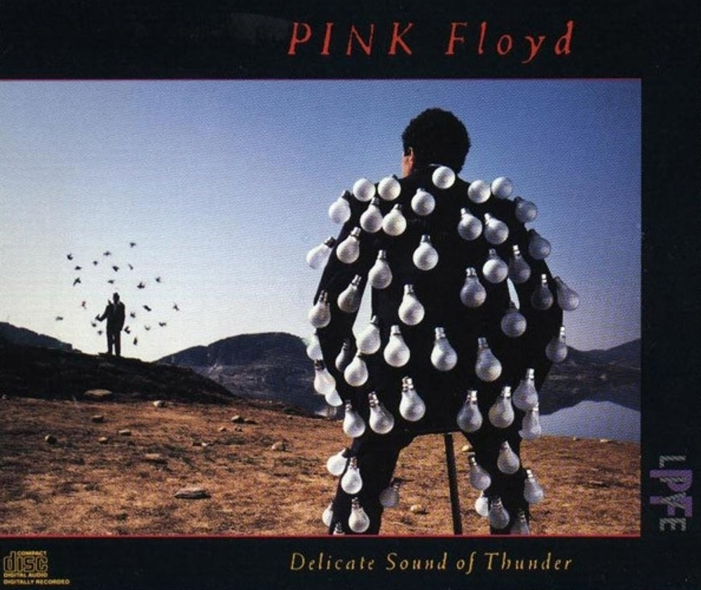 Pink Floyd / Delicate Sound Of Thunder (2CD)