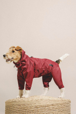 Комбинезон "Пони-комбинезони" винный