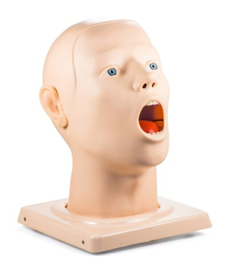 Фантом головы для мазка из зева