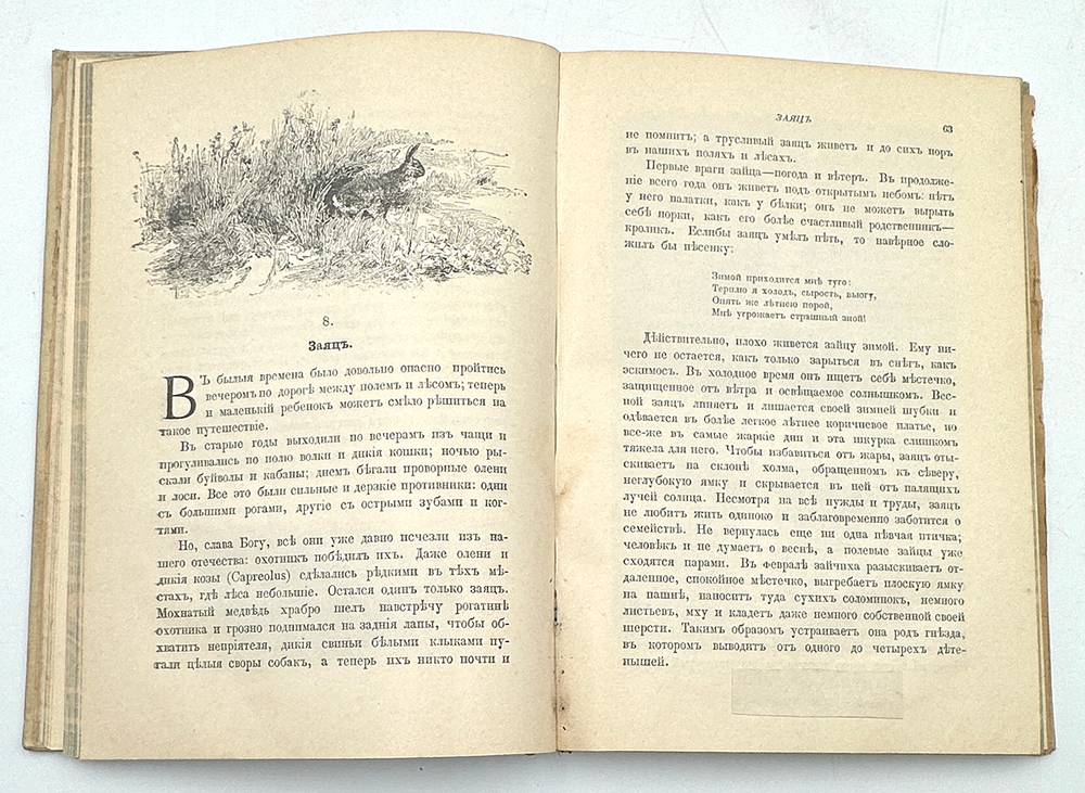 Вагнер Г. Путешествие по полю и ниве : Прогулка с молодыми друзьями Германа Вагнера . СПБ.-М. 1907