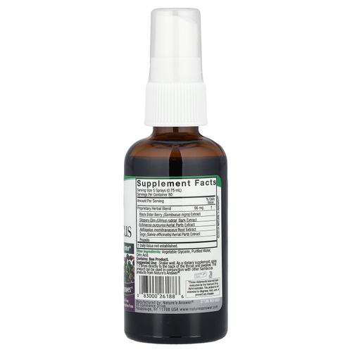Nature's Answer, Sambucus, спрей с экстрактом черной бузины, без спирта, 60 мл (2 жидк. унции)