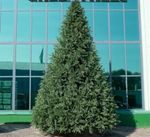 Большая елка «Финская» (Литая+пвх) от 3 до 10 м