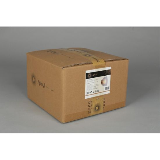 Светильник настенный (Бра) APL.341.31.06