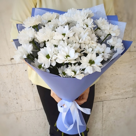 Букет из 7 кустовых хризантем сорта "KENNEDY WHITE"