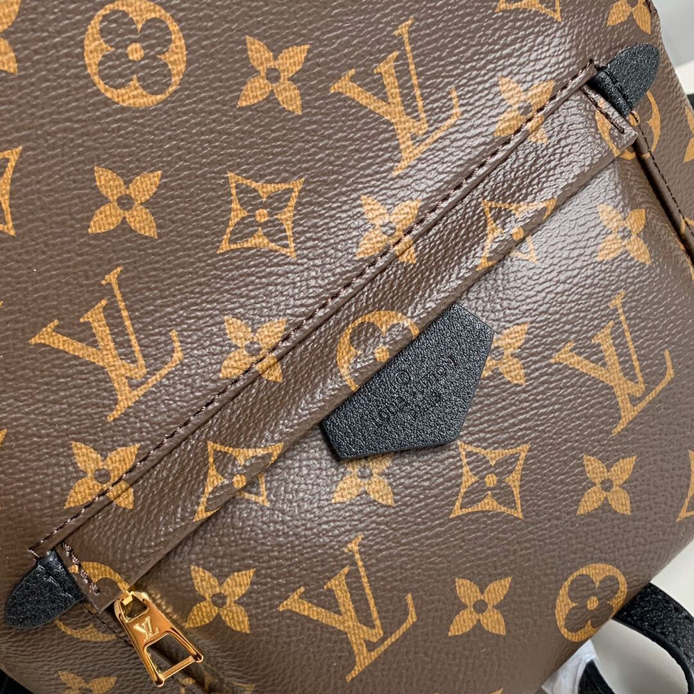 Louis Vuitton Palm Springs PM