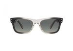 RAY-BAN BURBANK RB2283 134071