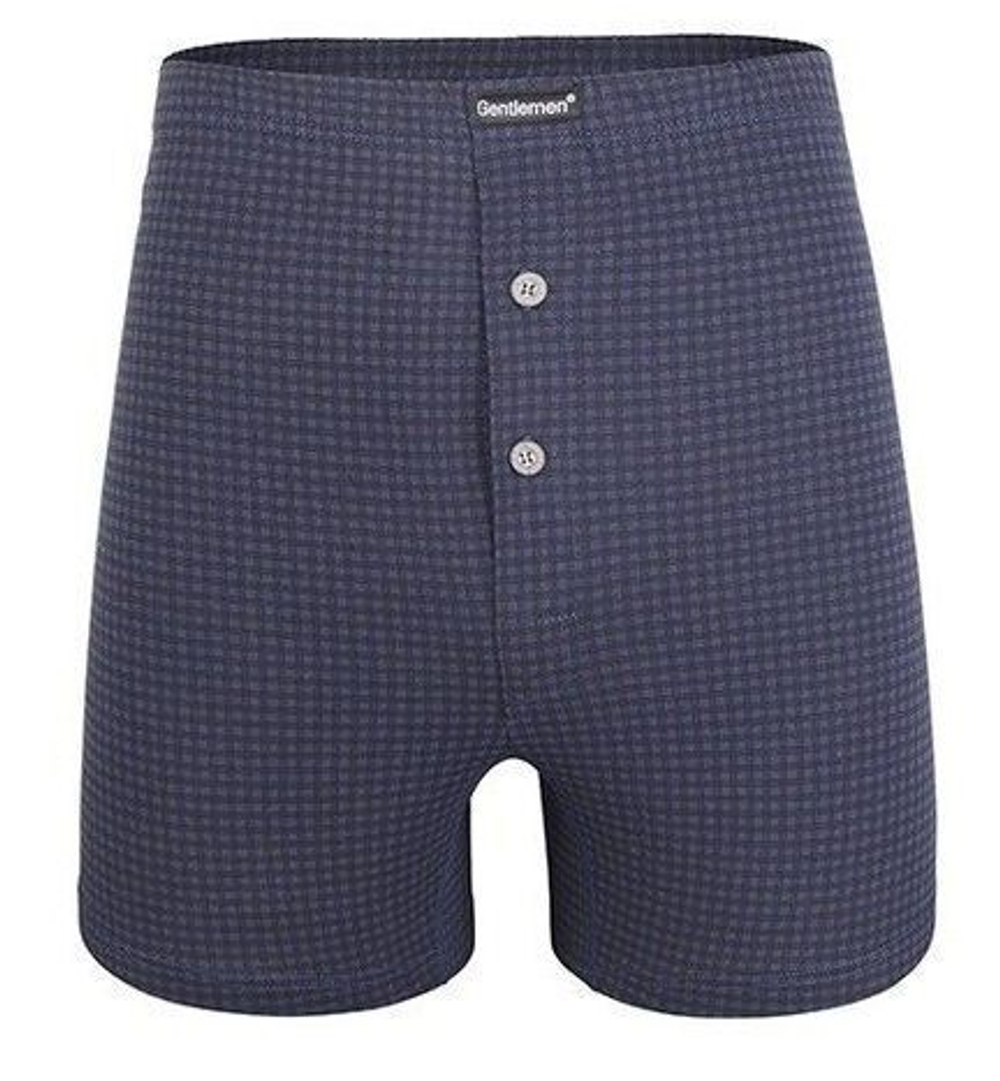 Боксеры свободного кроя в мелкую клетку (Размер: XL) (Цвет: синий)