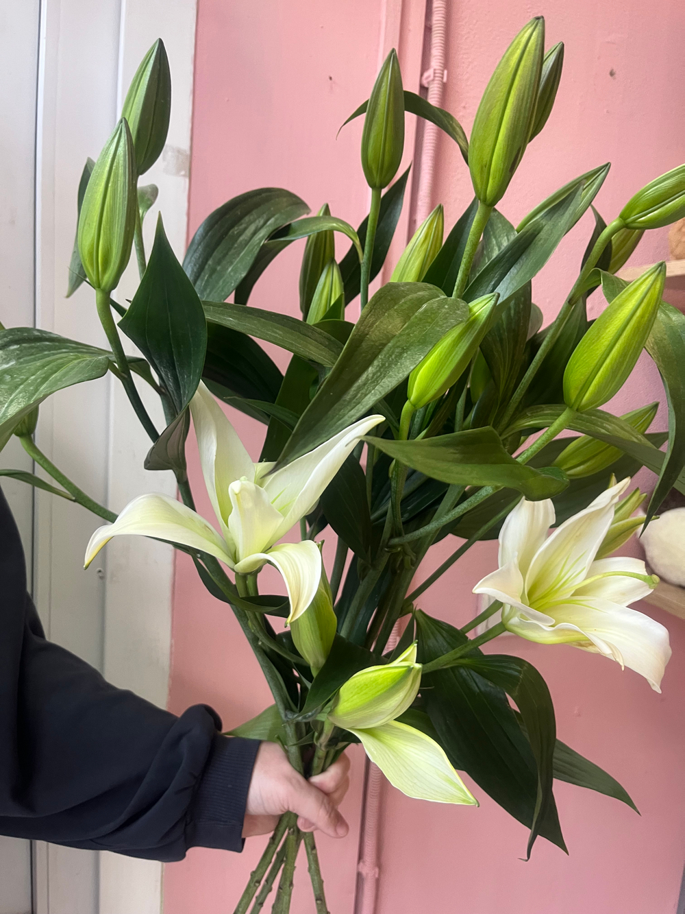 Букет из 5 белых лилий