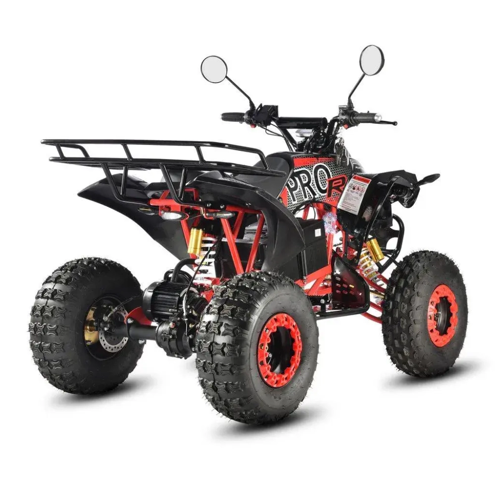Электроквадроцикл WHITE SIBERIA SNEG Pro R 3000W