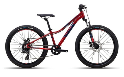 Подростковый велосипед Polygon Relic 24 (2023)