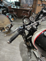 Royal Enfield Interceptor 650 Black Pearl (Custom / Dual tone)