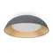 Потолочный светильник FR5277CL-L72GR Лунный свет / Moonlight 62 Вт LED с пультом ДУ Freya fr5277cl-l72gr