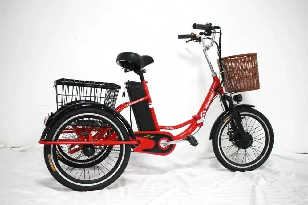 Электровелосипед Green Camel Трайк-20 (R20 500W 48V) Складной