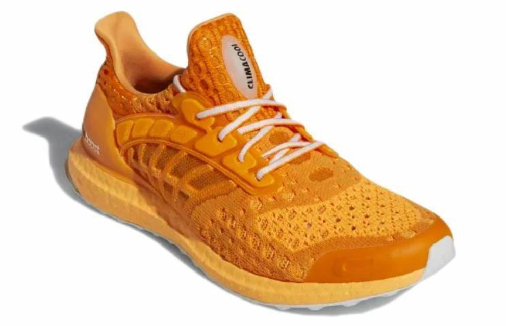 Кроссовки Adidas Ultraboost Climacool 2 Dna