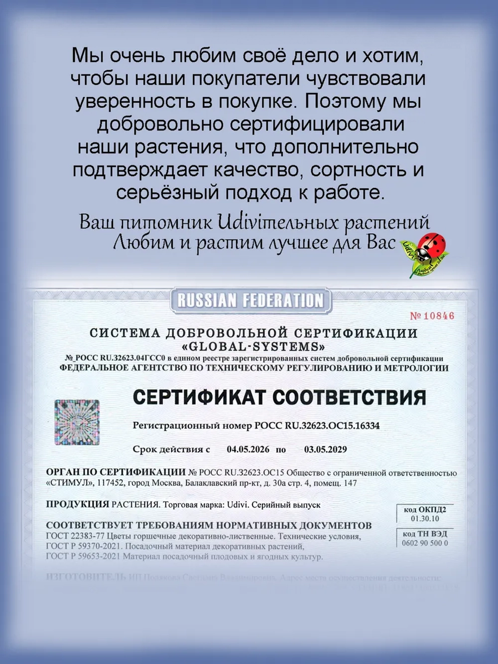Пеларгония ЛиА Пируэт Дропс махровая