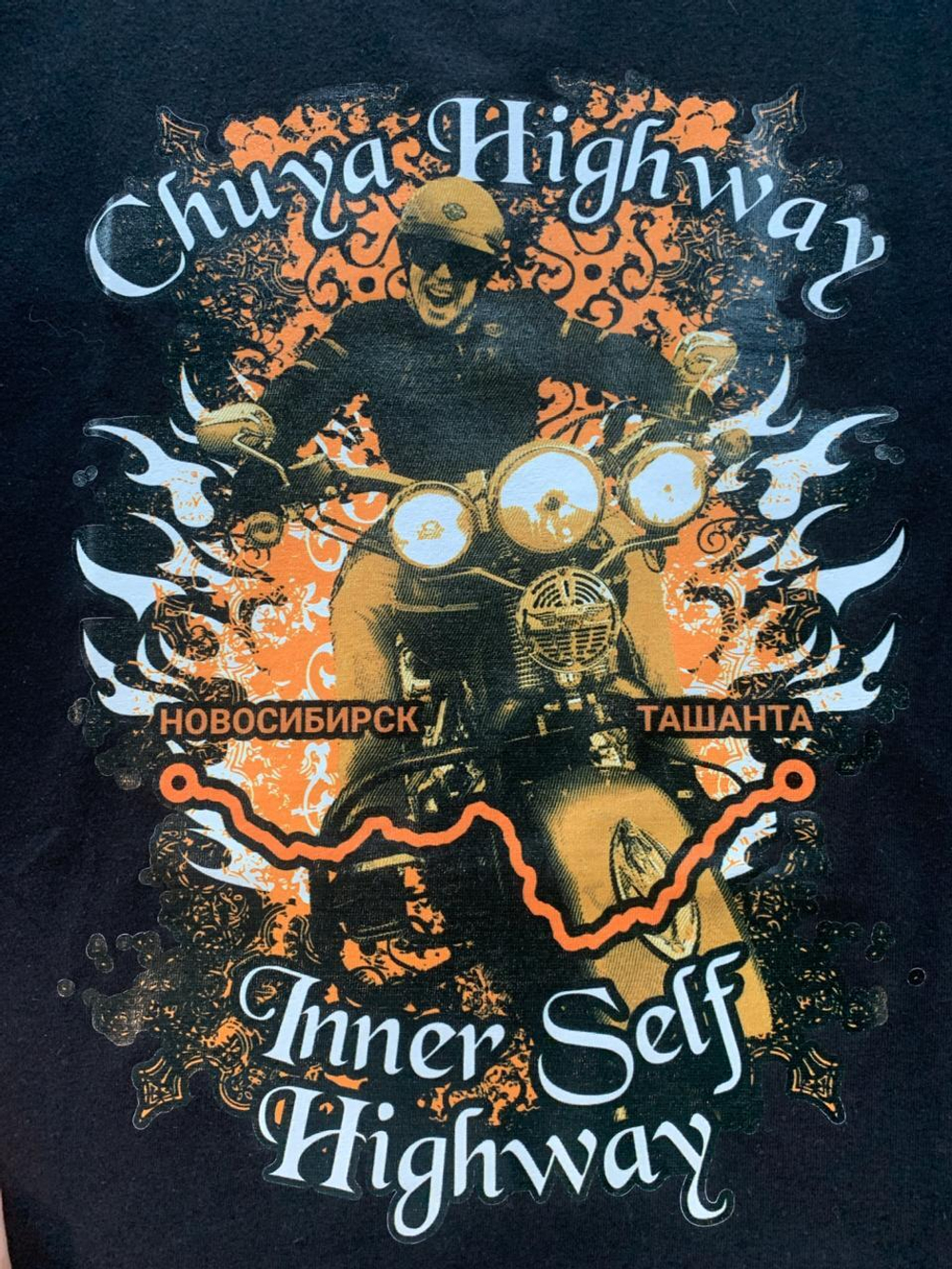 Фирменная футболка мужская Harley-Davidson