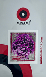 Вербена бонарская Буэнос Айрес 15шт